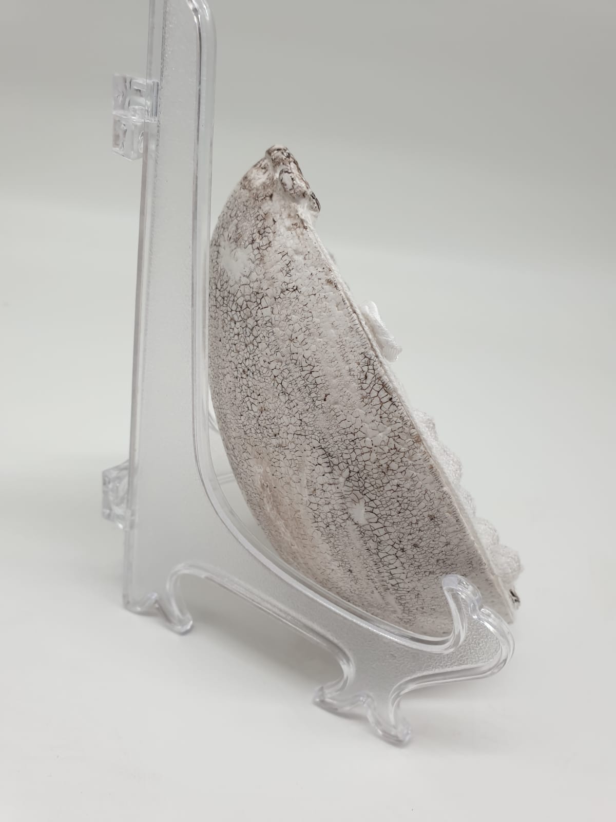 Shabby Chic / Vintage- Osterei