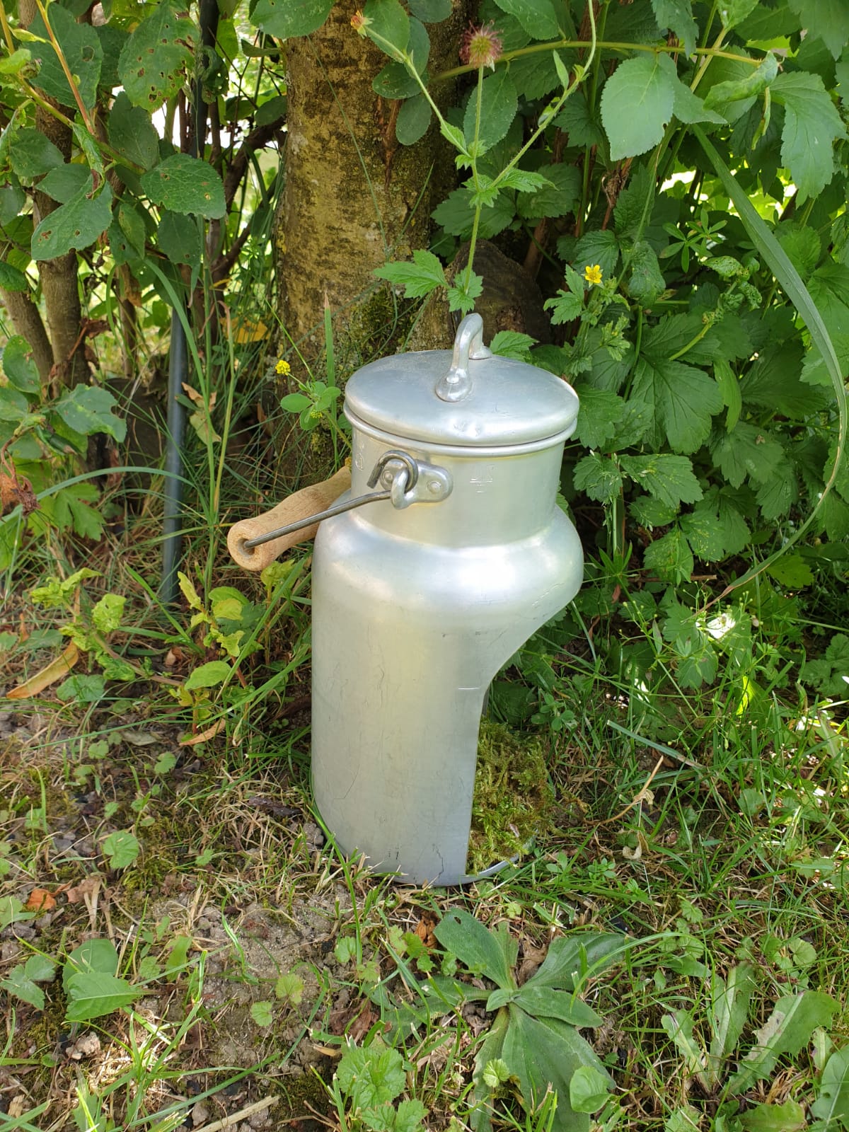 Vintage Milchkanne Deko Offen Klein – Nostalgische Aluminium Milchkanne im Landhausstil 22 cm